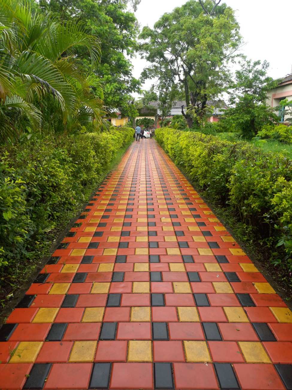 School playground pattern